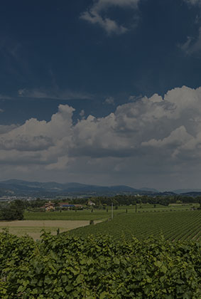 territorio-2-banner-img-2